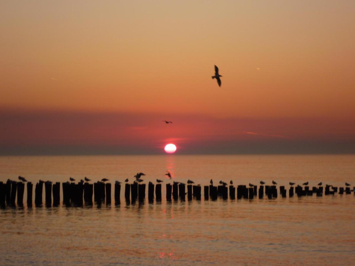 Vakantiehuis Domburg Do12 Екстер'єр фото